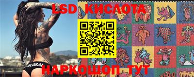 шишки Жуковский
