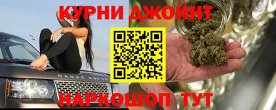 шишки Жуковский