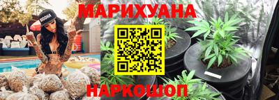 шишки Жуковский