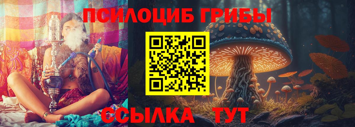 Псилоцибиновые грибы Cubensis  Вход с VPN  Нижневартовск  Псилоцибиновые грибы ЛСД 